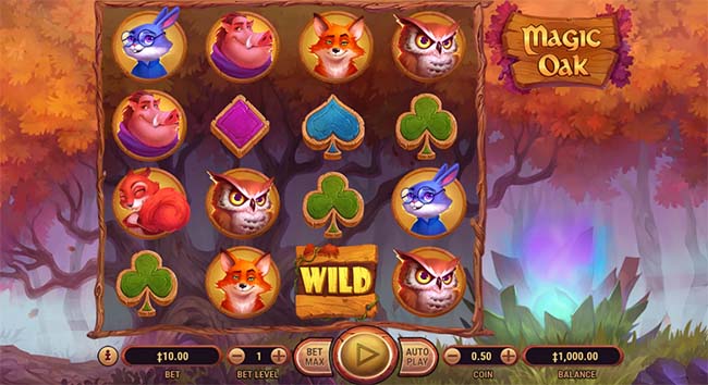 Magic Oak slot game
