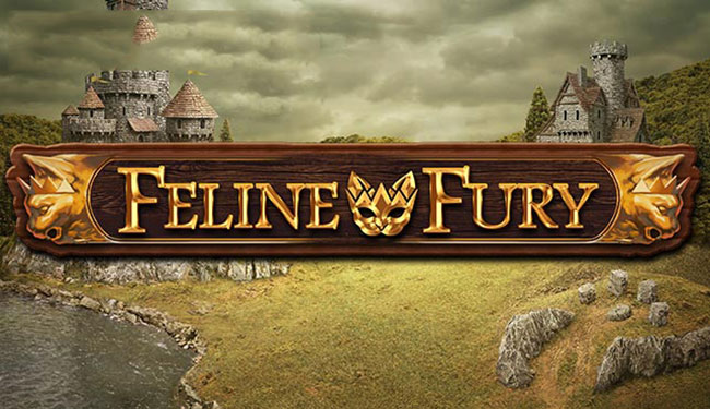 feline fury slot
